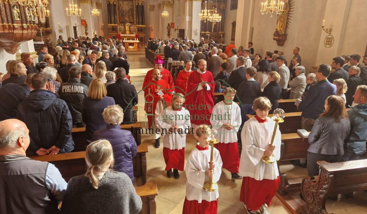 WhatsApp Bild 2024-10-12 um 15.57.18_a10b73c9